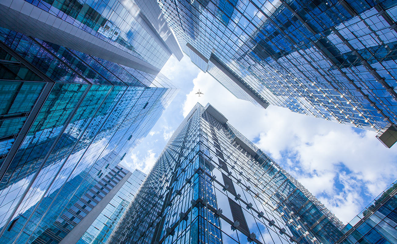 찬란한 미래비전